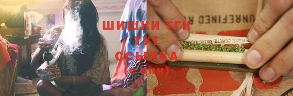 стафф Осташков
