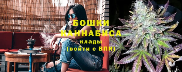 крисы Осинники