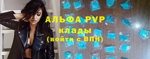 крисы Осинники