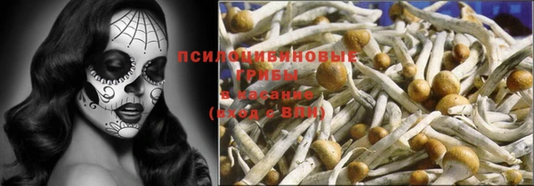 стафф Осташков