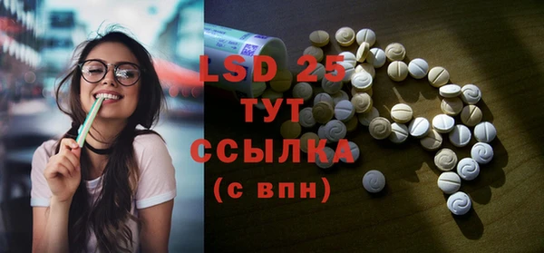 стафф Осташков